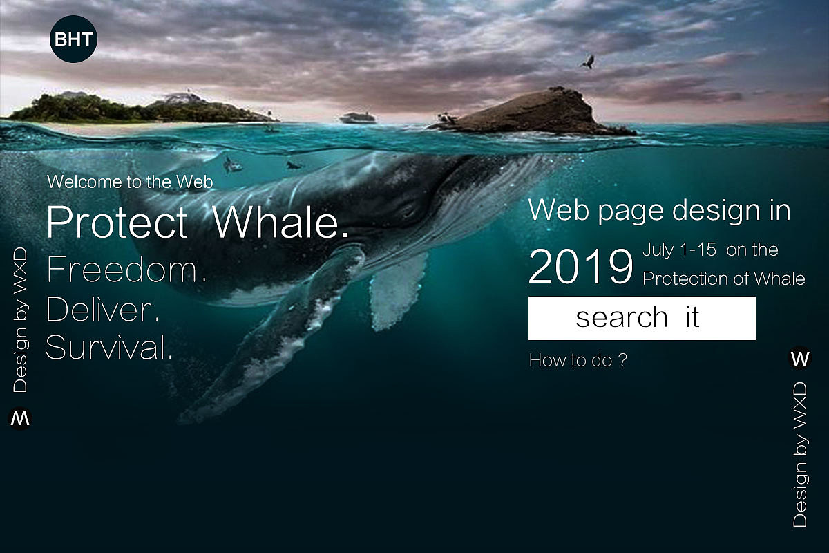 protect whale保护鲸鱼网页设计
