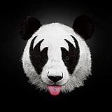 罗大炮的头像