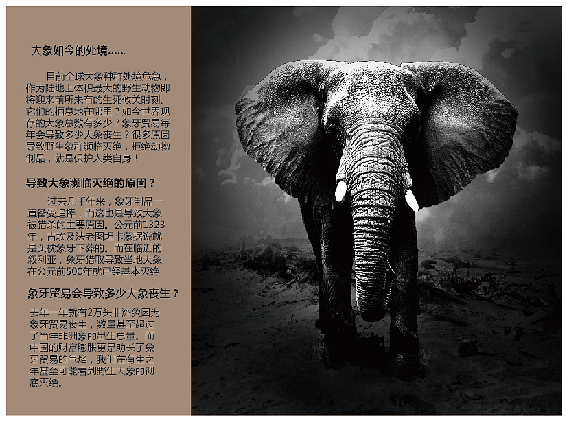 电商海报，画册，三折页以及易拉宝（图ZMjMyMjE2MjQ4） - 海报 - 站酷设计师唐三岁吖原创素材 - 站酷ZCOOL