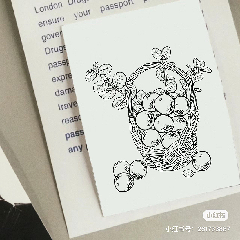 食物转线稿风插画（图ZMzU1OTE4NjAw） - 商业插画 - 站酷设计师酷得没边儿原创素材 - 站酷ZCOOL