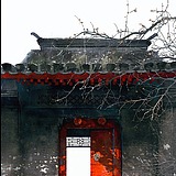 柠檬嫁醋的头像