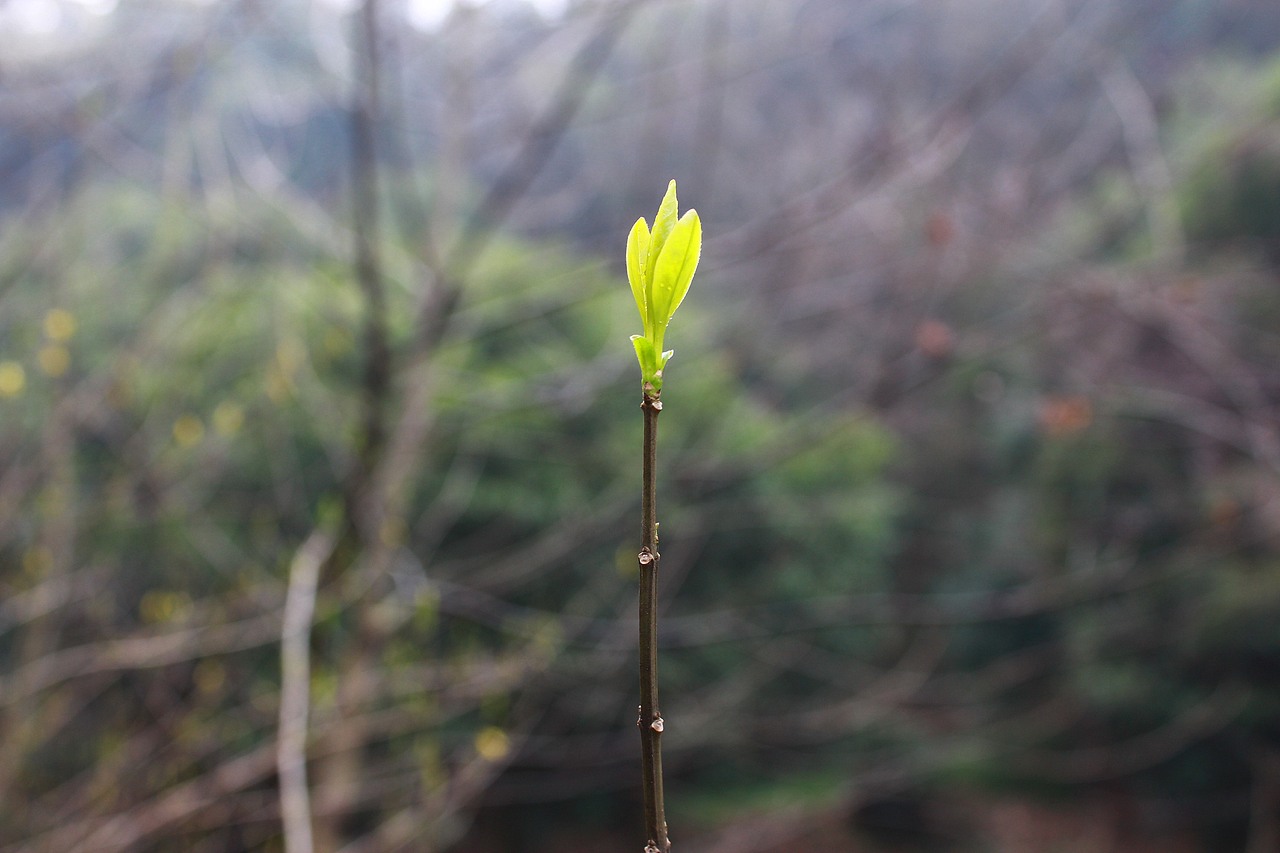 自制桌面秀（图ZMjg0MjMzMDQ=） - 风光摄影 - 站酷设计师小峰峰1900原创素材 - 站酷ZCOOL