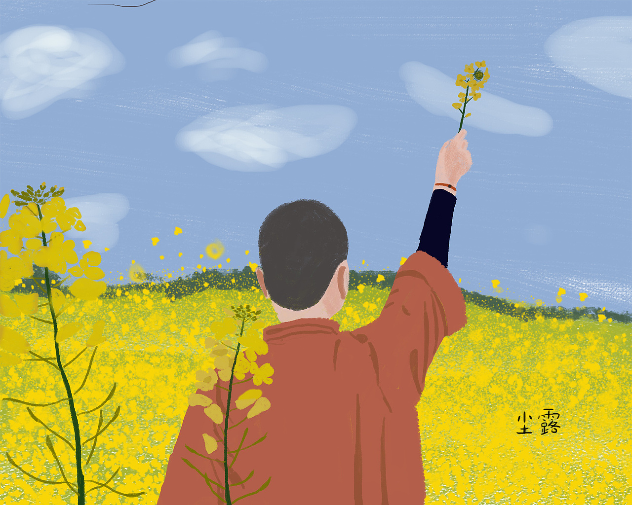 油菜花