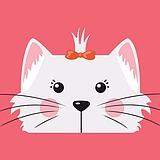 Anisha的头像