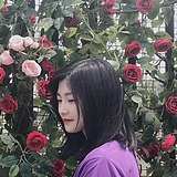Freshbrid的头像