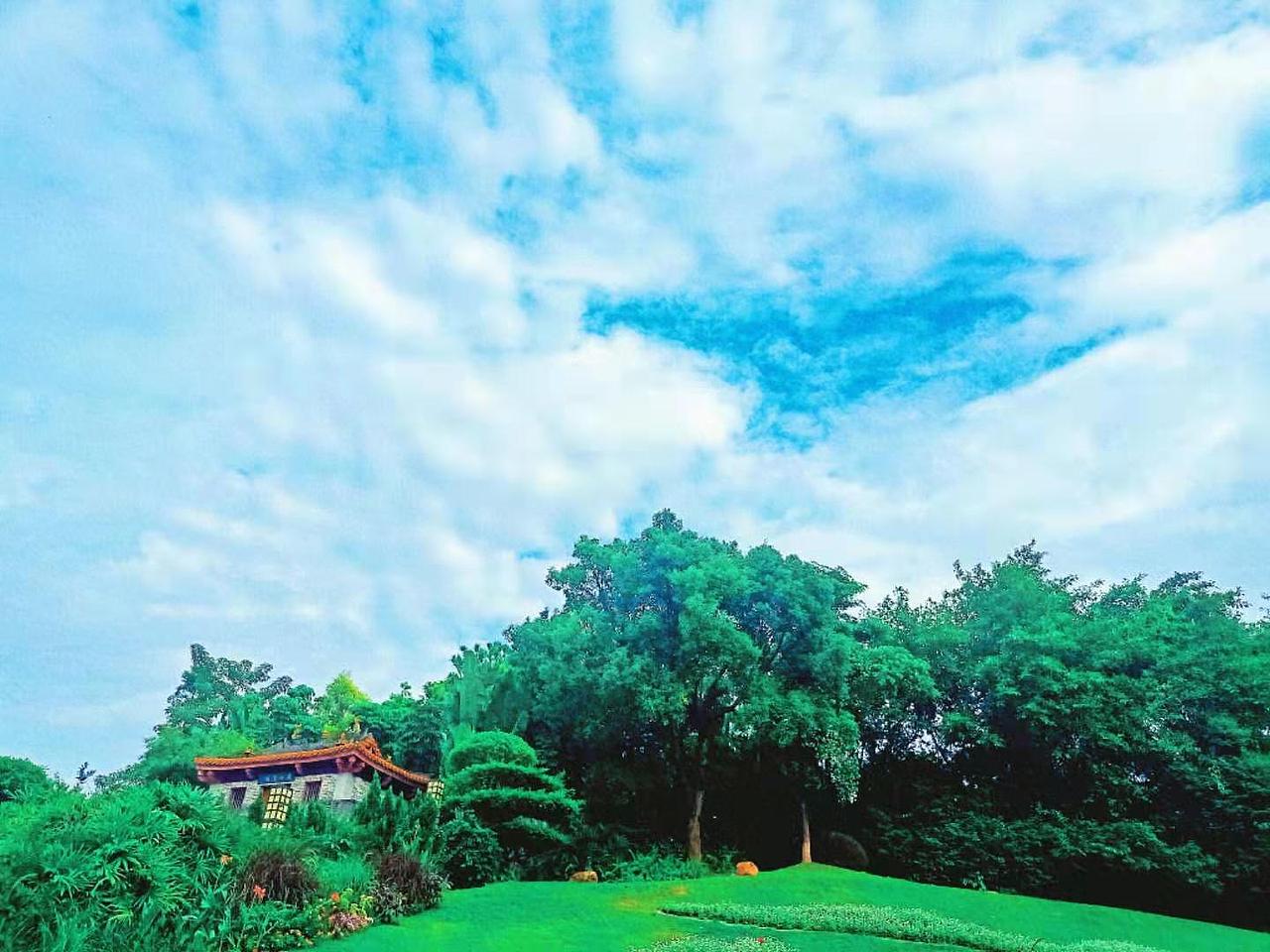 手机摄影+从邵阳到深圳一直到新疆的摄影记录着一切