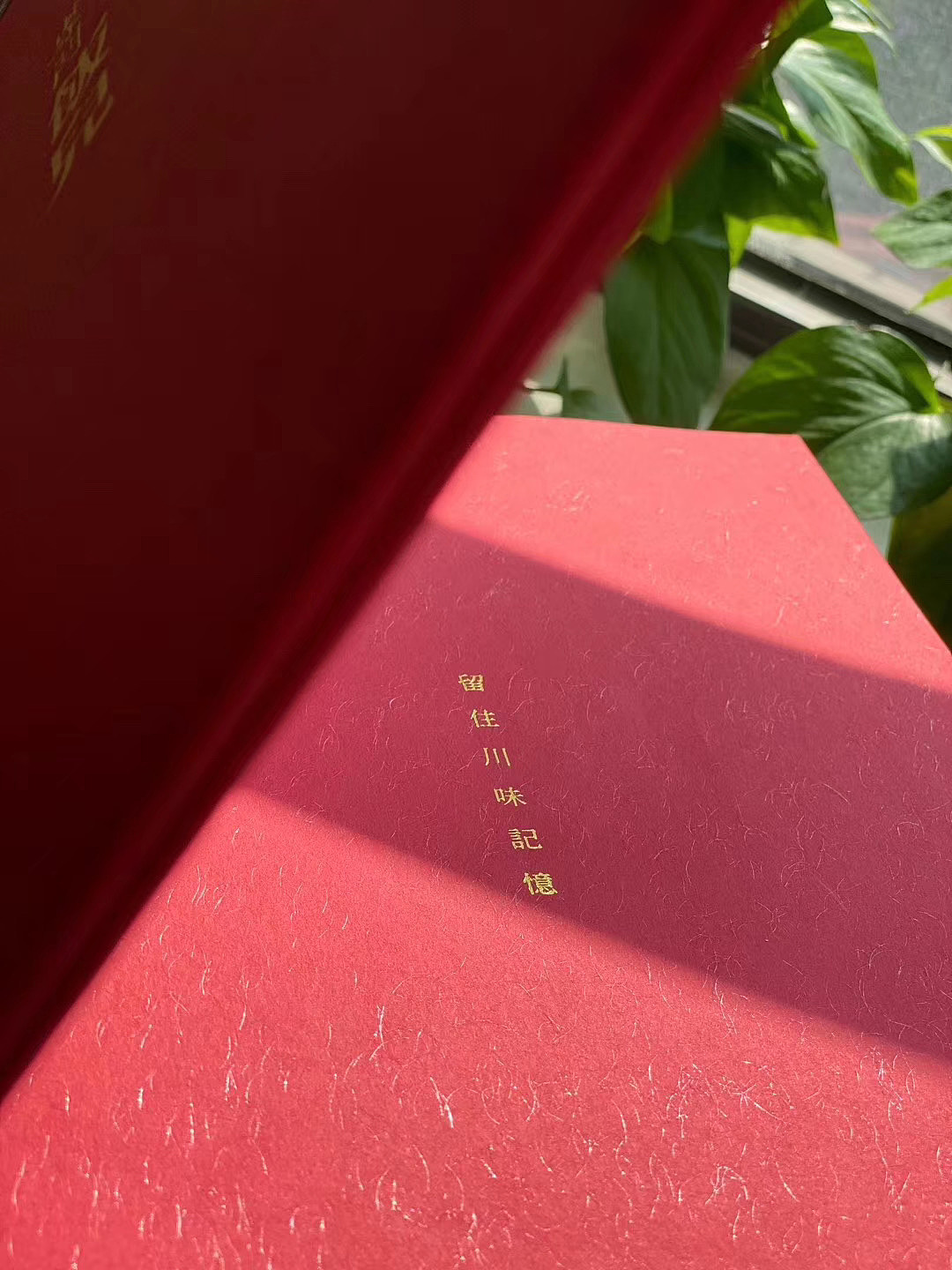 【盈利菜谱设计】柴门饭儿X北山致诚（图ZMjUzNjkwOTAw） - 书籍/画册 - 站酷设计师北山致诚原创素材 - 站酷ZCOOL