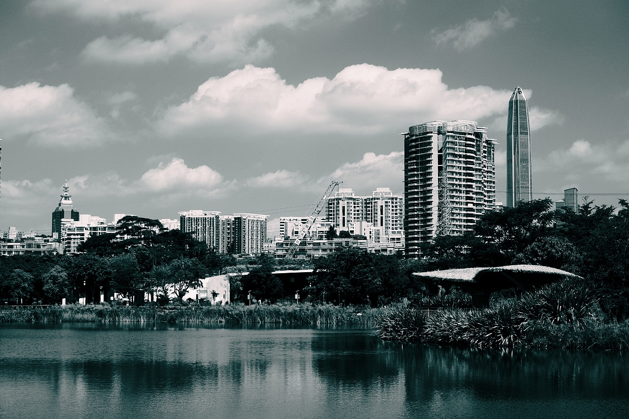 红树林(深圳湾)