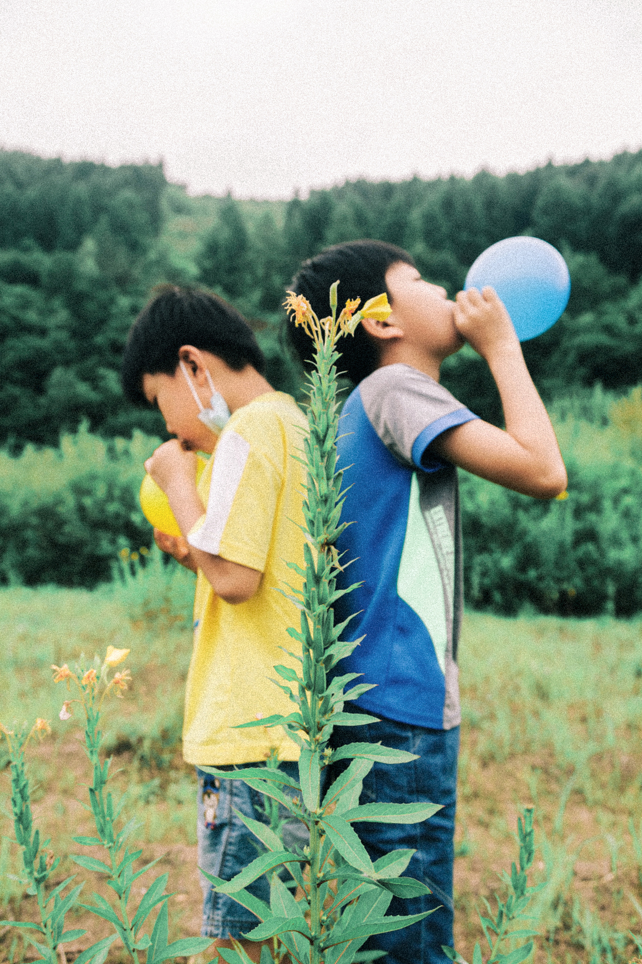 河边漫步（清）