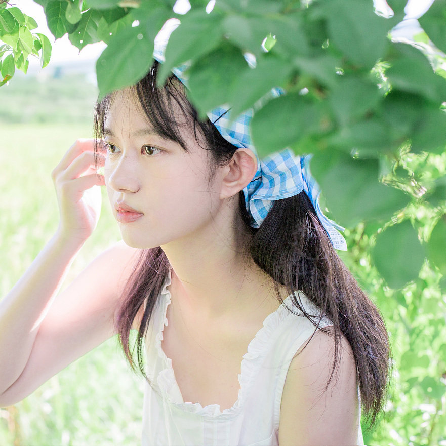 去年拍的夏日稻田