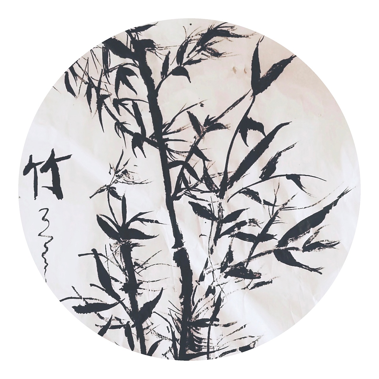 竹子|平面|其他平面|慕辰辰爱画画 - 原创作品 - 站酷 (zcool)