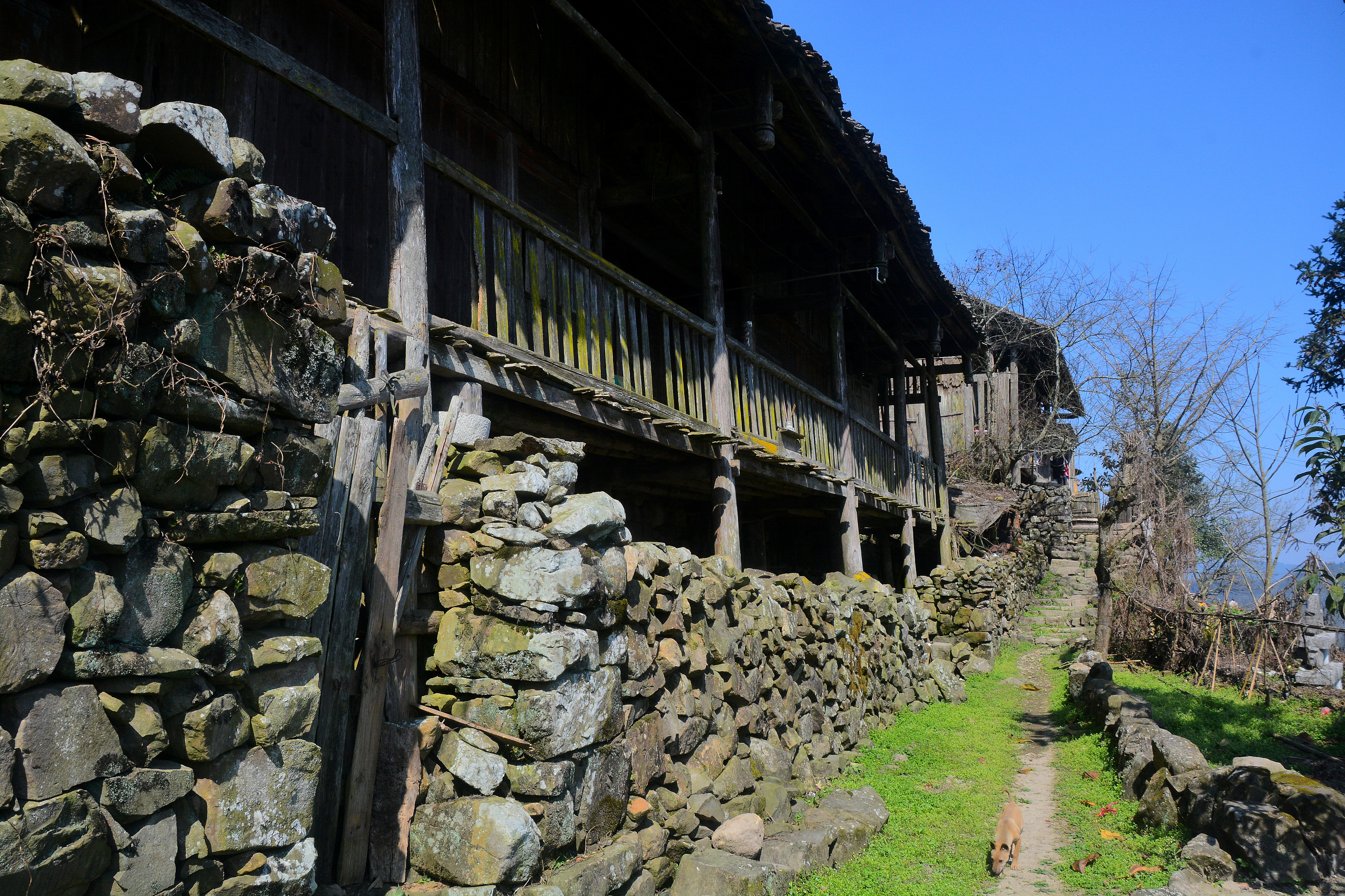 一座被遗忘的小村庄