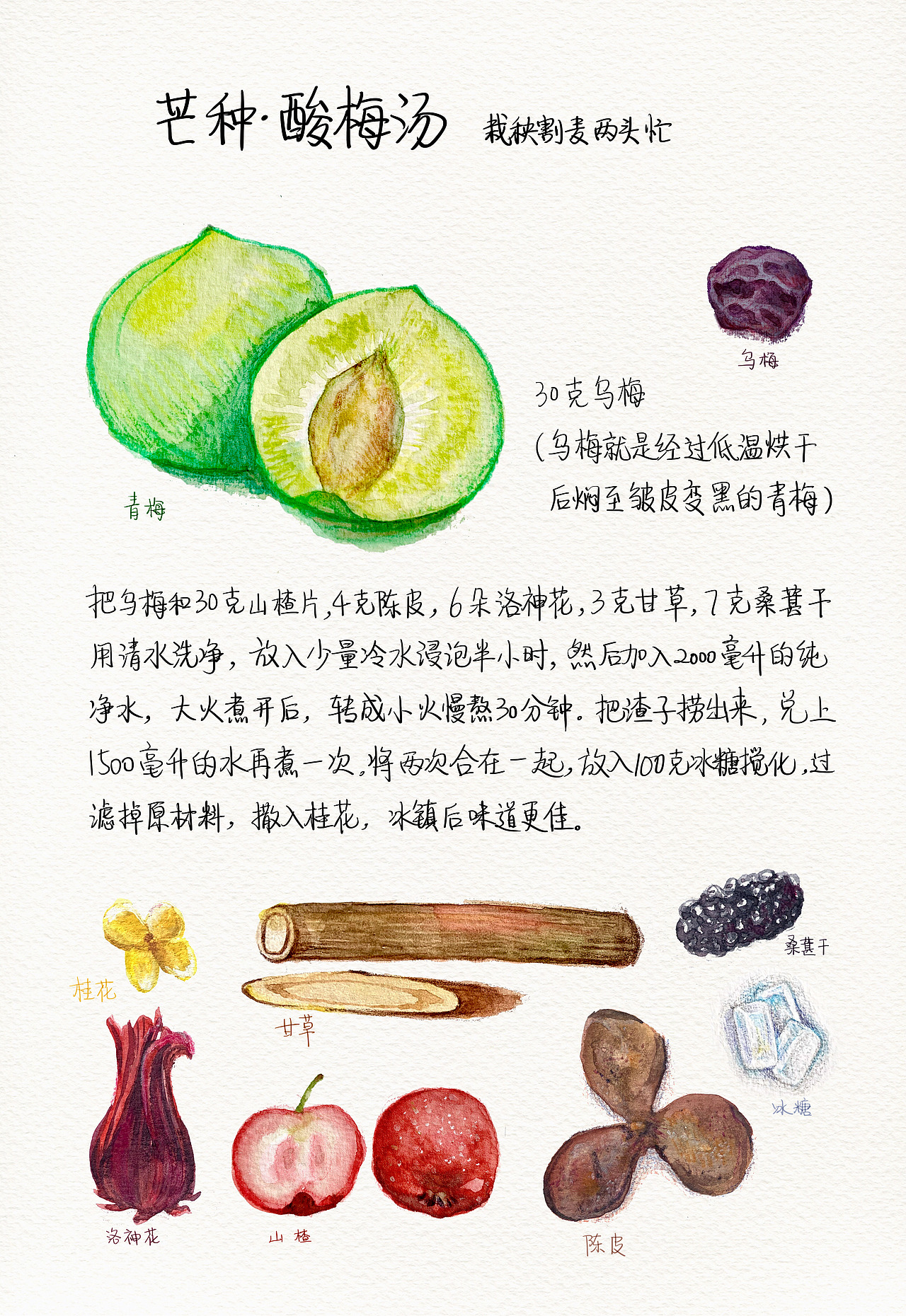2021年节气食物作品合集（水彩彩铅）（图ZMjgzNTY4NDQ4） - 创作习作 - 站酷设计师布谷咕咕咕BUGU原创素材 - 站酷ZCOOL