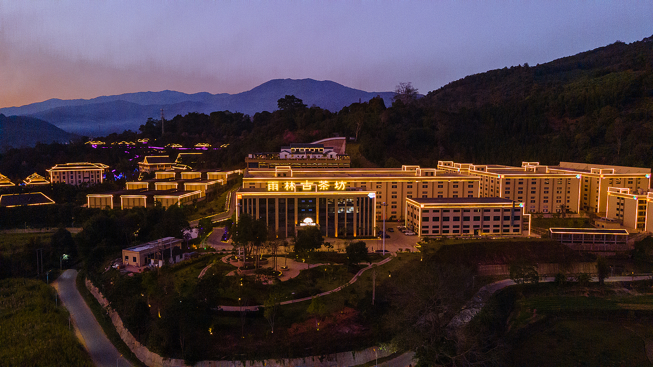 沉浸体验时代，雨林古树茶的体验之旅（图ZMjk1MTY4MDg4） - 展陈设计 - 站酷设计师容品牌原创素材 - 站酷ZCOOL