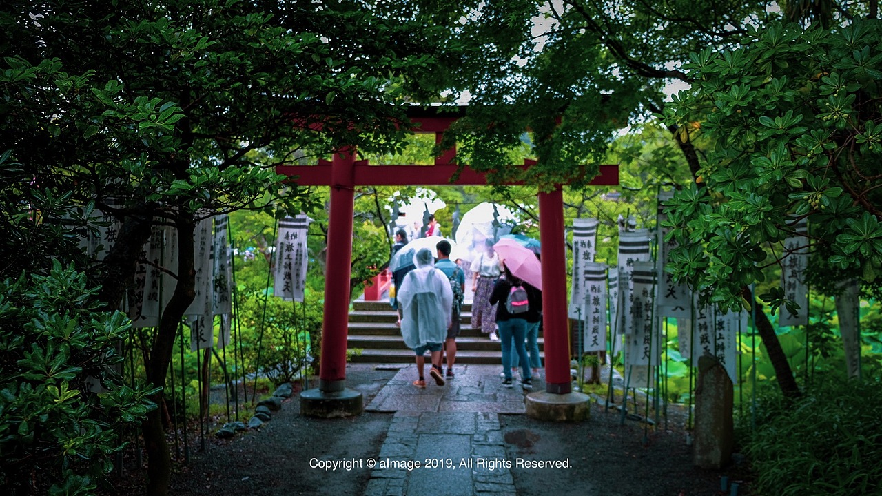 镰仓 | 另一个世界