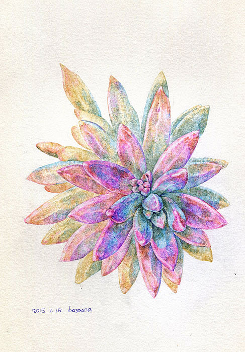 彩色圆珠笔习作（图ZMzA1ODE0MDg=） - 创作习作 - 站酷设计师Hosanna_914原创素材 - 站酷ZCOOL