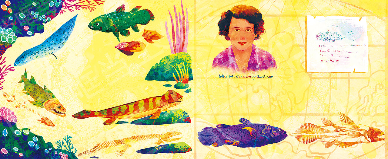 少儿科普百科全书插画（一）