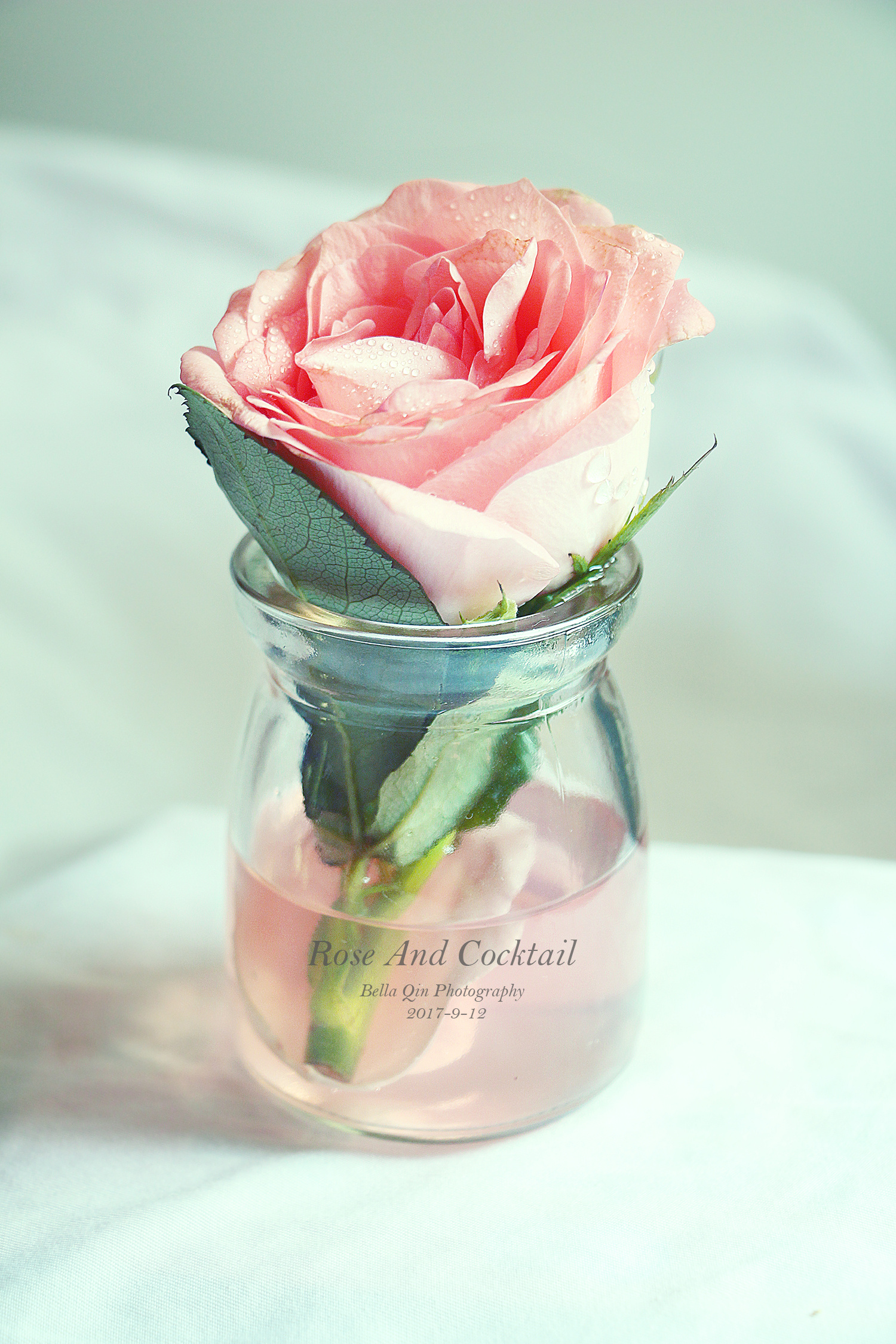 玫瑰花与鸡尾酒