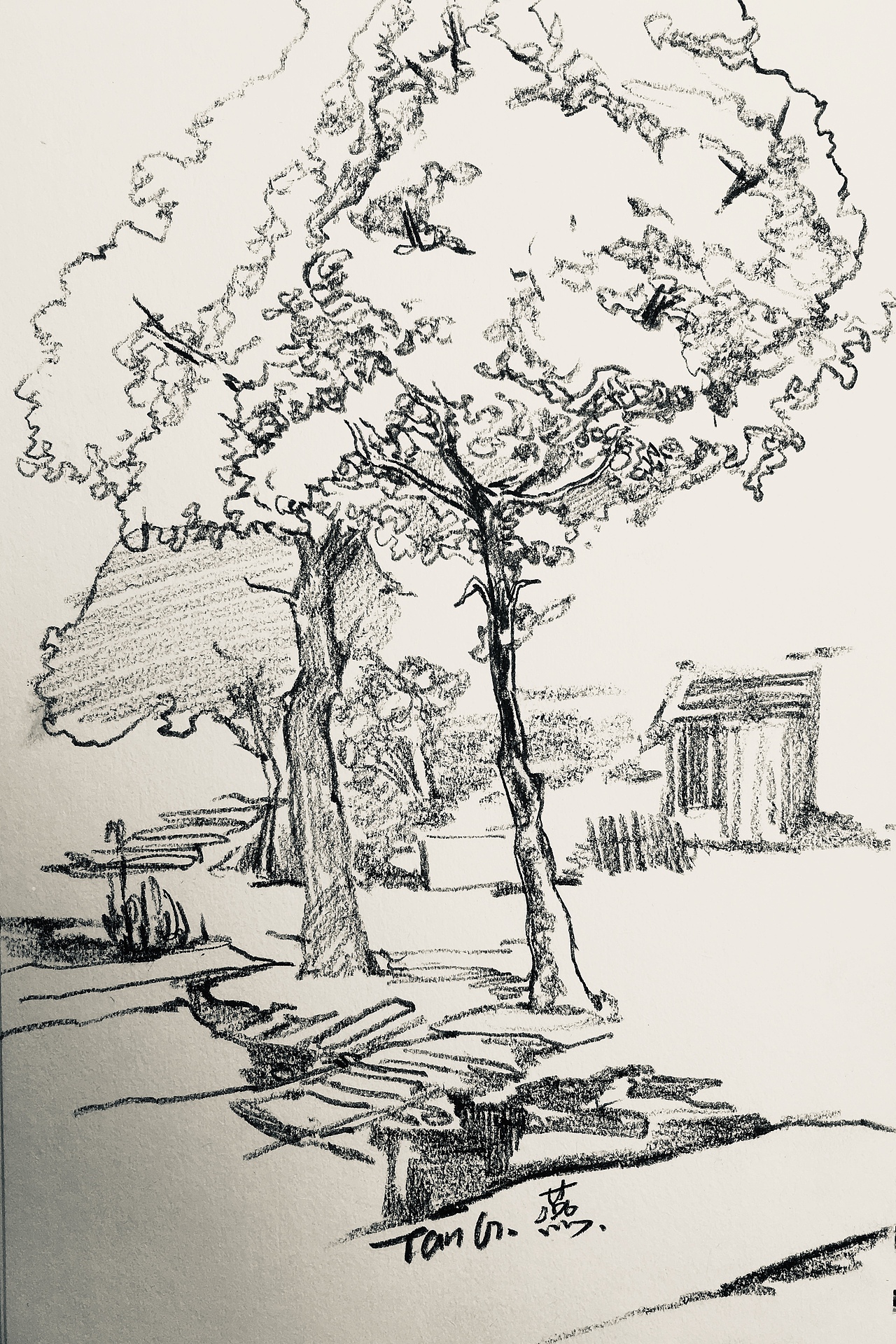 风景小画