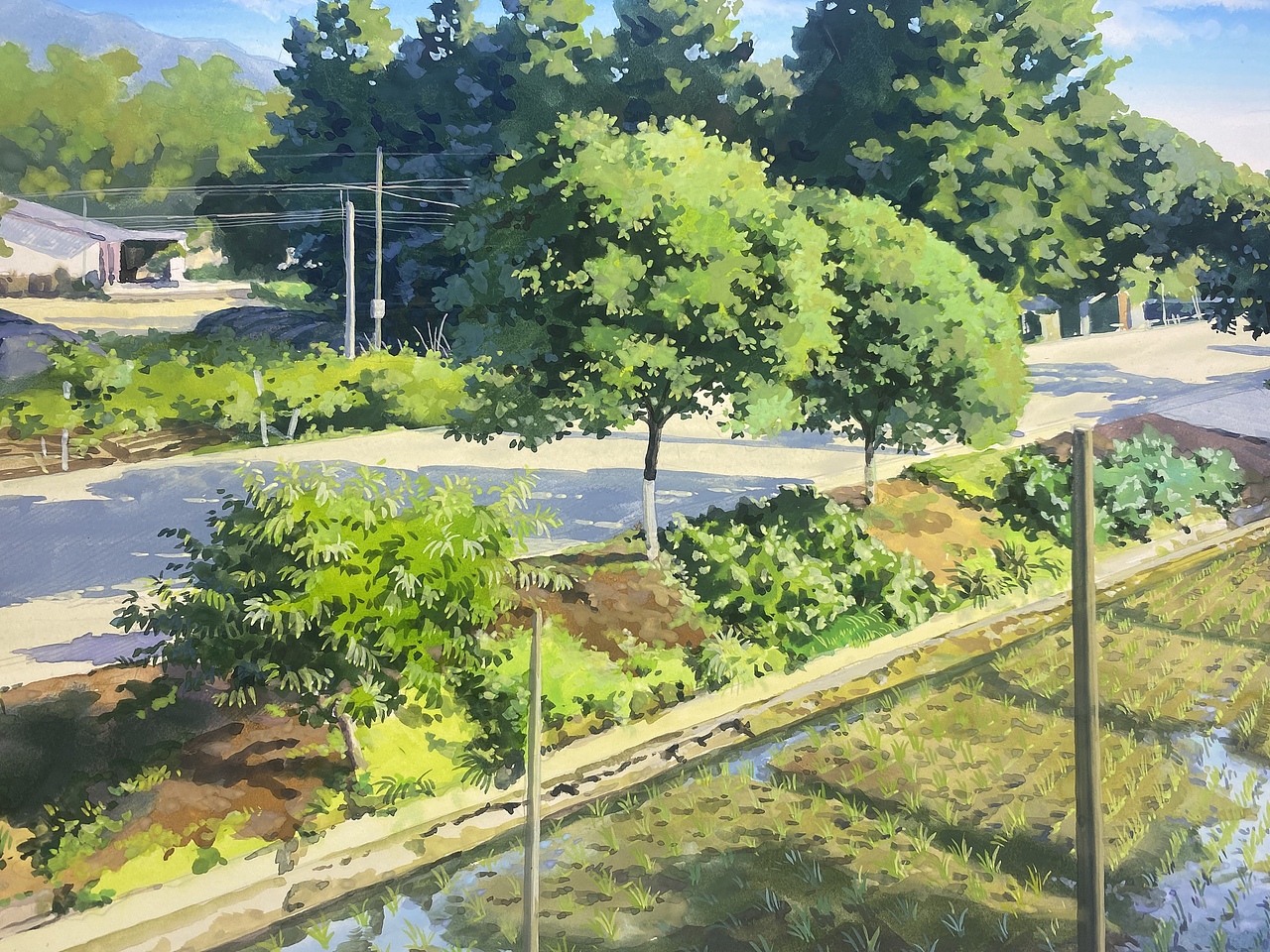 不透明水彩，乡村（图ZMzAyNjYyNjEy） - 绘画 - 站酷设计师南宝山高师原创素材 - 站酷ZCOOL