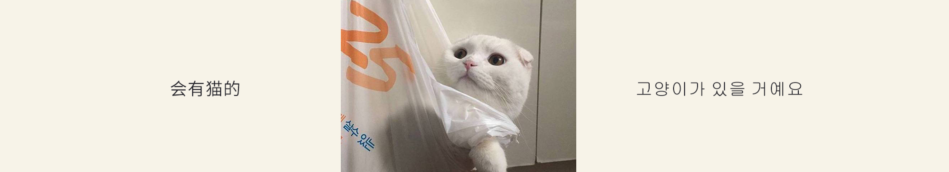 可爱婷的个人主页（封面预览） - 主页封面设置 - 站酷设计师可爱婷原创素材 - 站酷ZCOOL