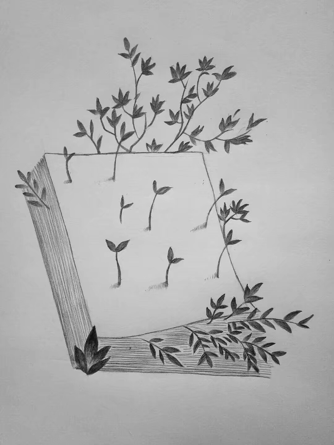 手绘（图ZMTI5ODYxMTc2） - 概念设定 - 站酷设计师Orange有点甜原创素材 - 站酷ZCOOL