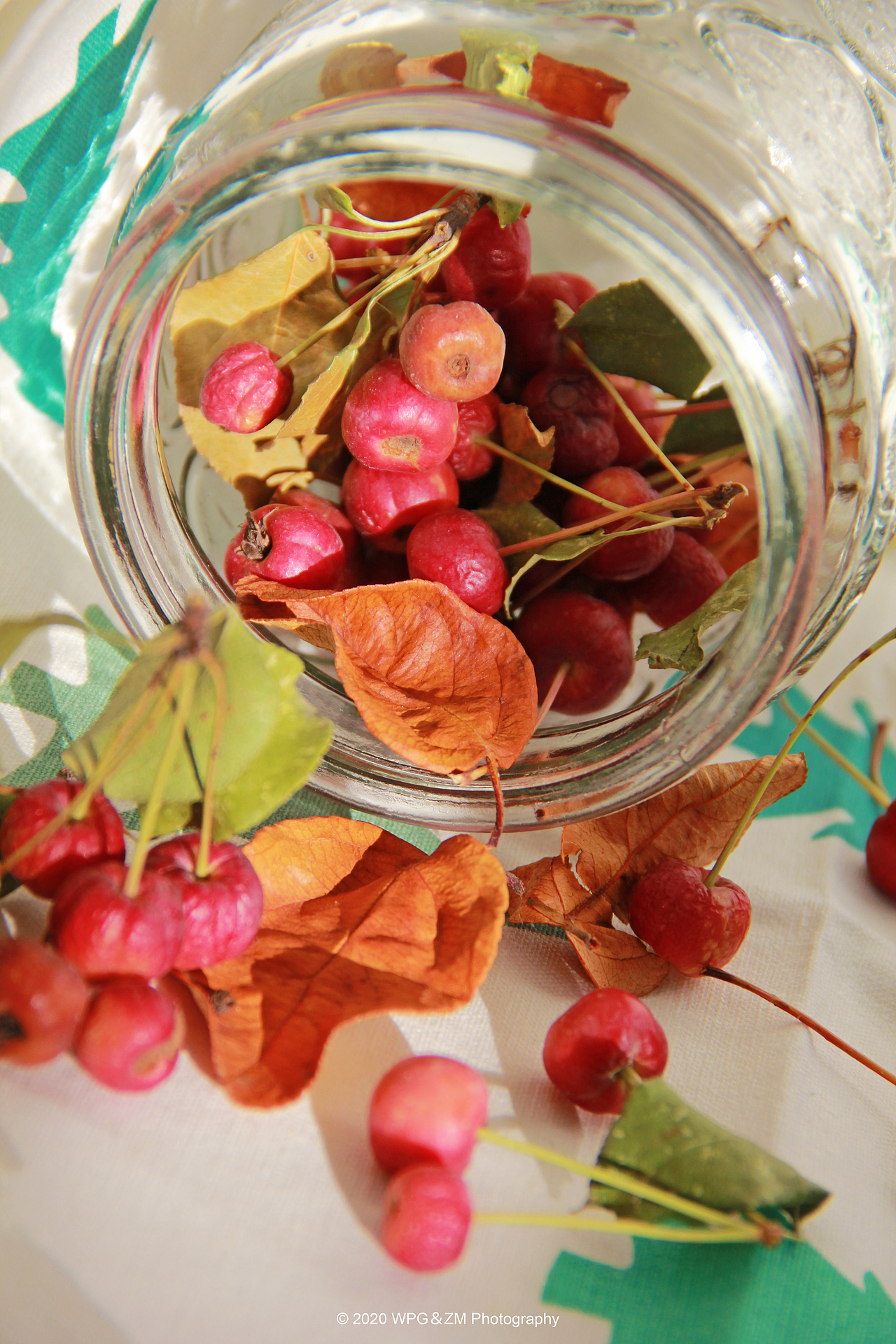 《 收藏秋天 》