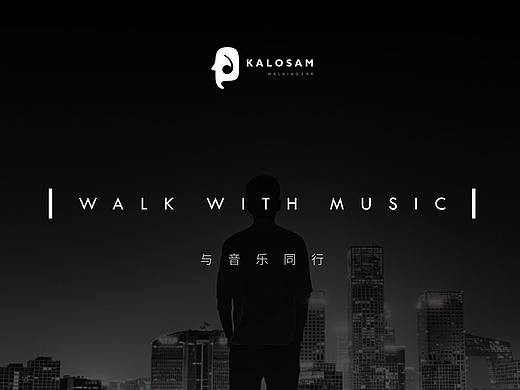 卡洛森品牌提案