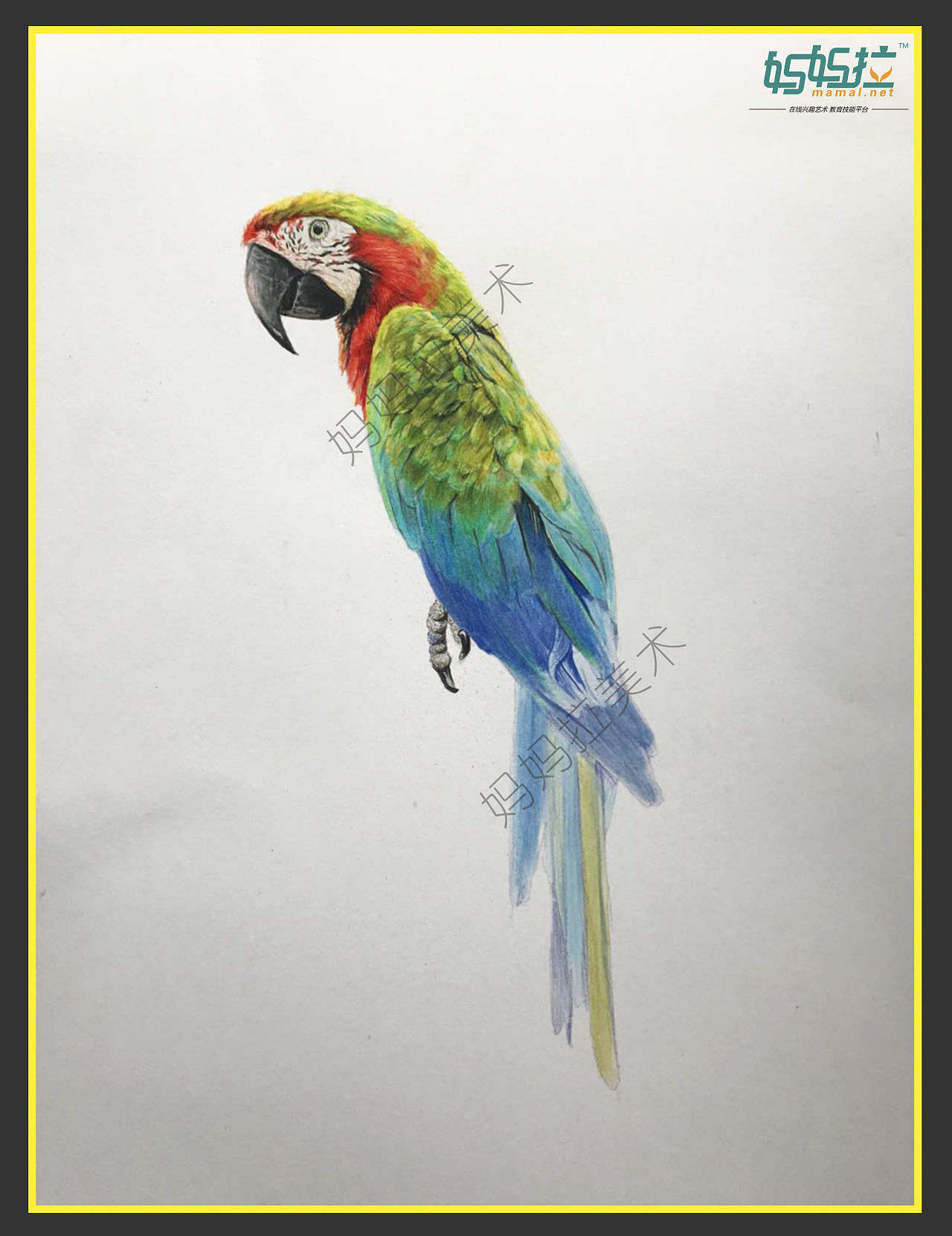 3-6岁简笔画图片 色彩鹦鹉的画法图解教程（美妙的小世界儿童画） - 有点网 - 好手艺
