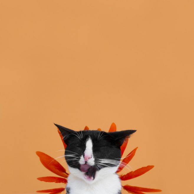 TJSSSSSS的个人主页（背景预览） - 主页背景设置 - 站酷设计师TJSSSSSS原创素材 - 站酷ZCOOL