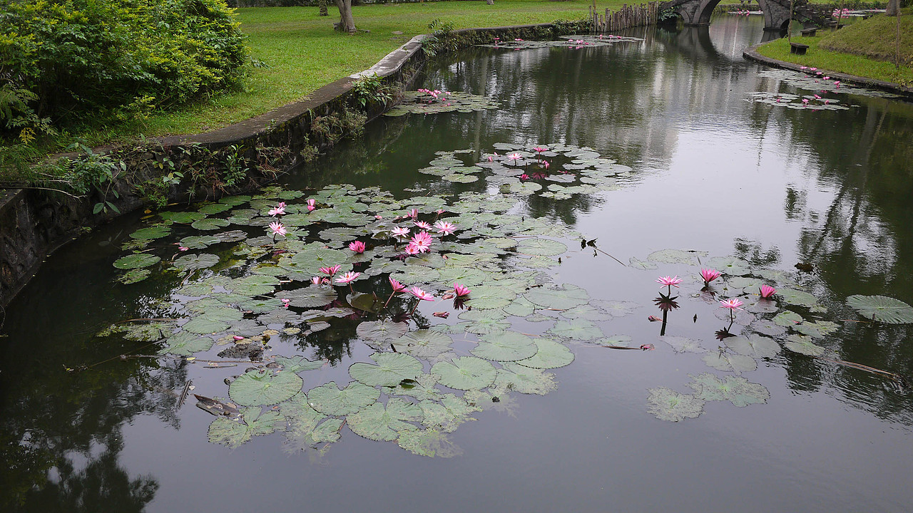 第一天 海口❤一个人的旅行