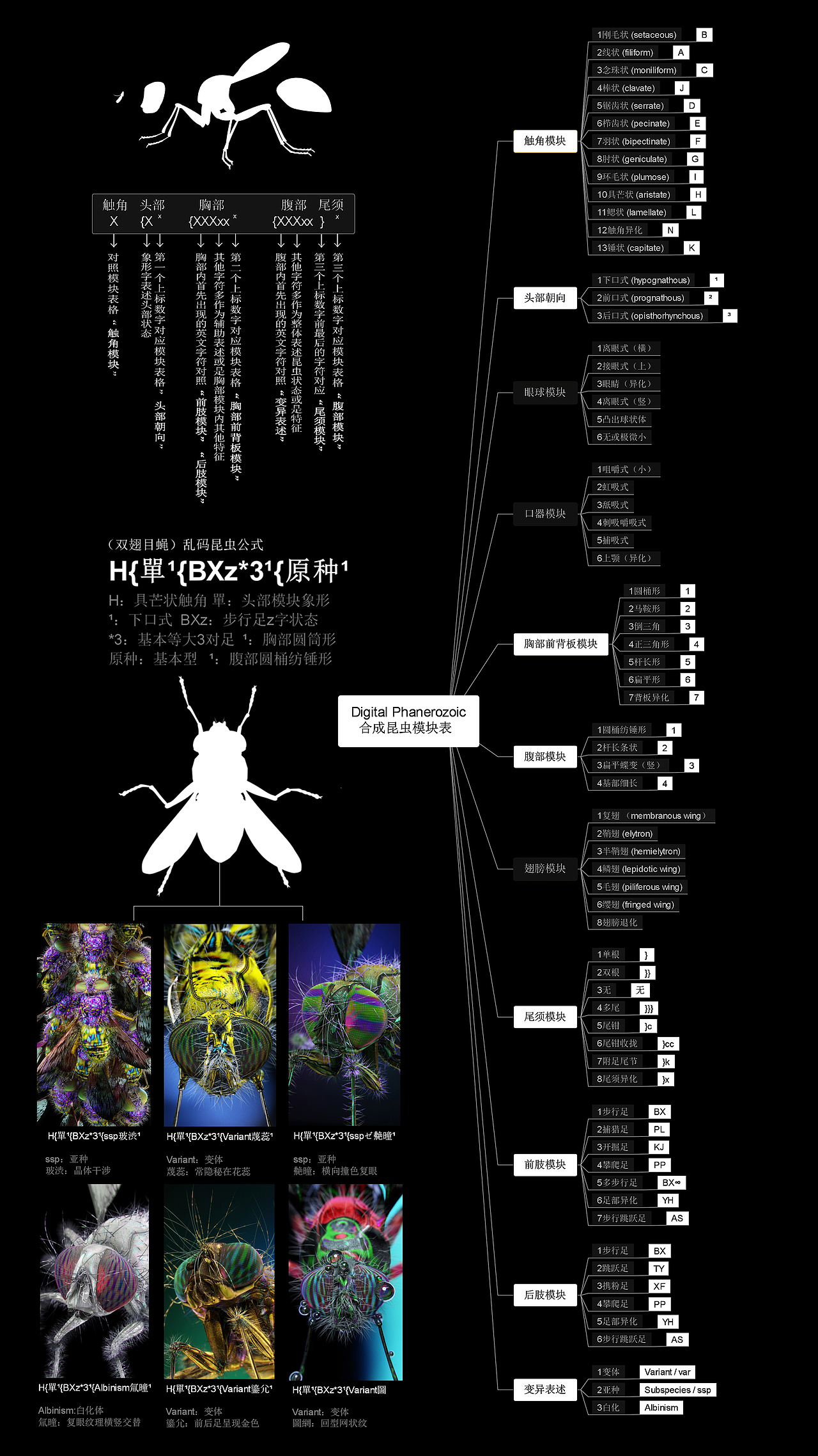 Digital Phanerozoic-亂碼昆蟲學（图ZMTc5OTUyMjg0） - 人物/生物 - 站酷设计师大悲宇宙原创素材 - 站酷ZCOOL