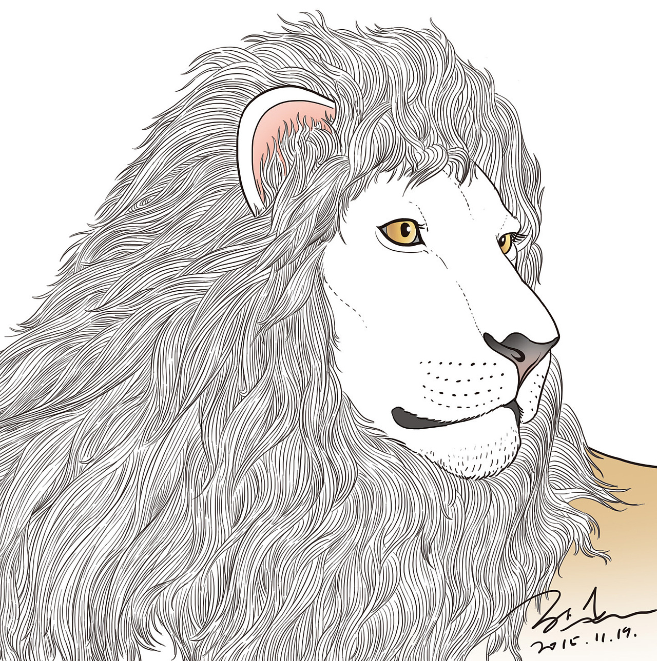 野生动物线描练习