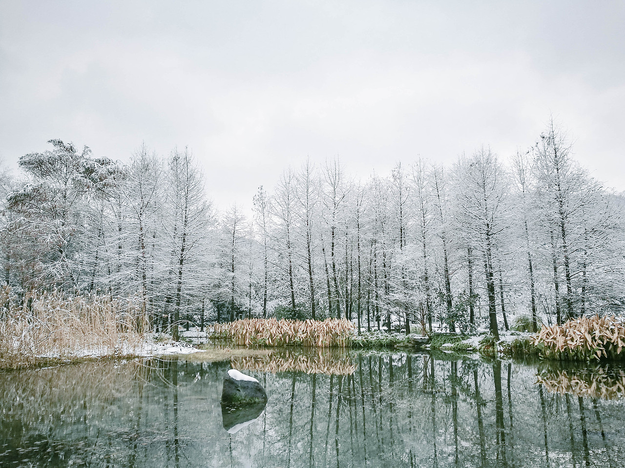 初雪·杭州（图ZMTAzNzkyNTQ4） - 风光摄影 - 站酷设计师dreanfiy原创素材 - 站酷ZCOOL