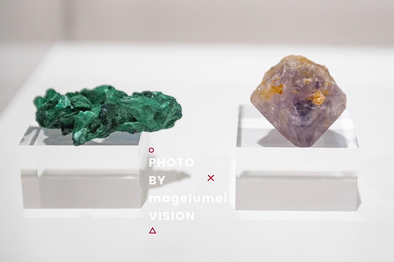 坦培拉 绘画 展览 摄影