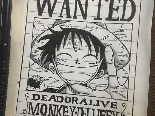 海贼王通缉图——酷!