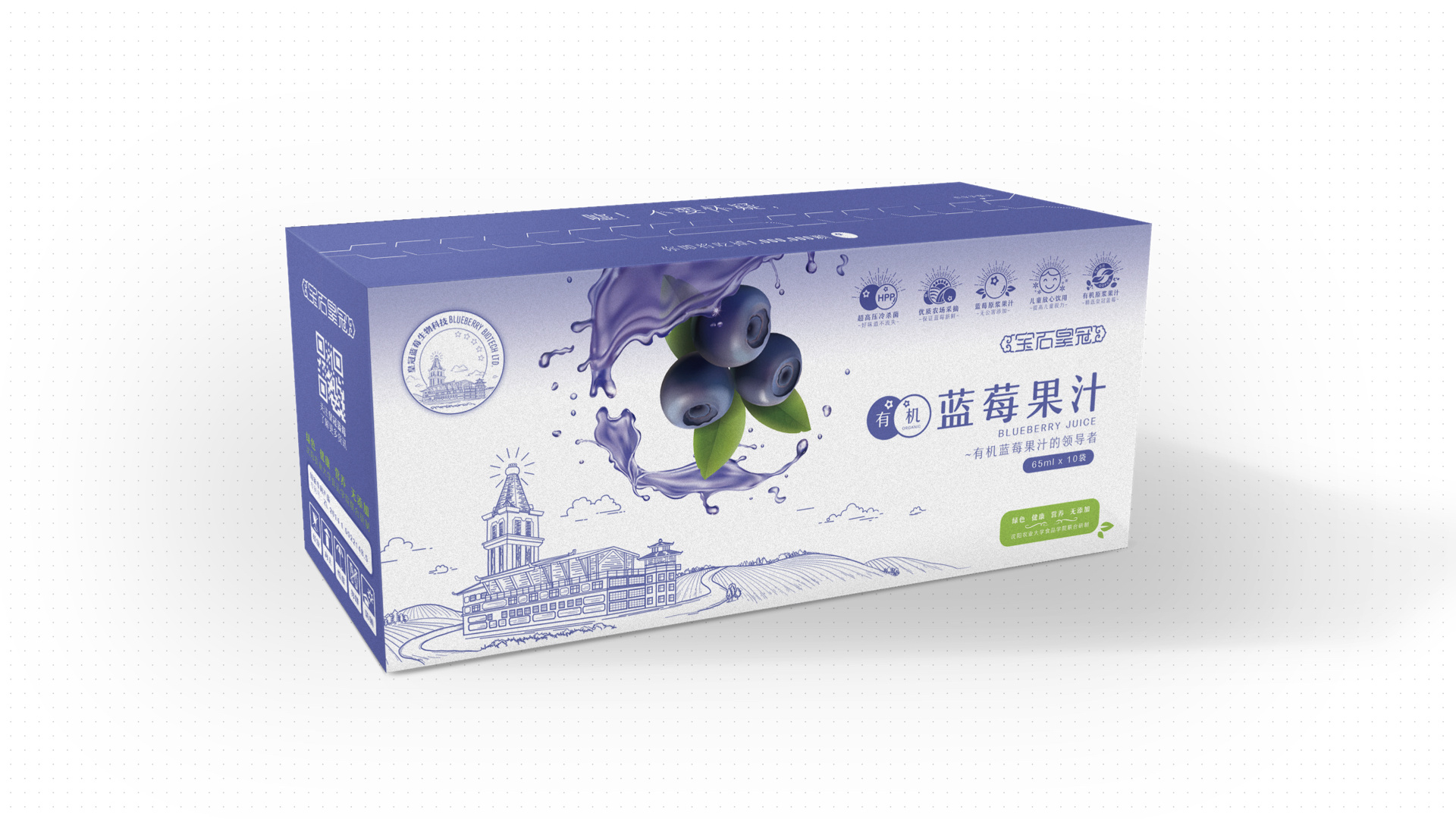 有机蓝莓果汁包装设计提案