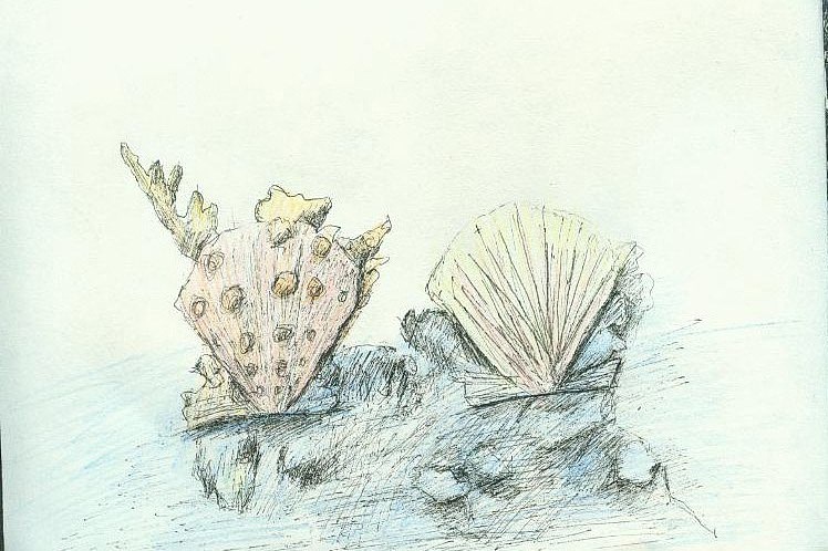 二维动画分镜头 手绘（图ZNDU3ODUyNTI=） - 商业插画 - 站酷设计师一米阳光0920原创素材 - 站酷ZCOOL