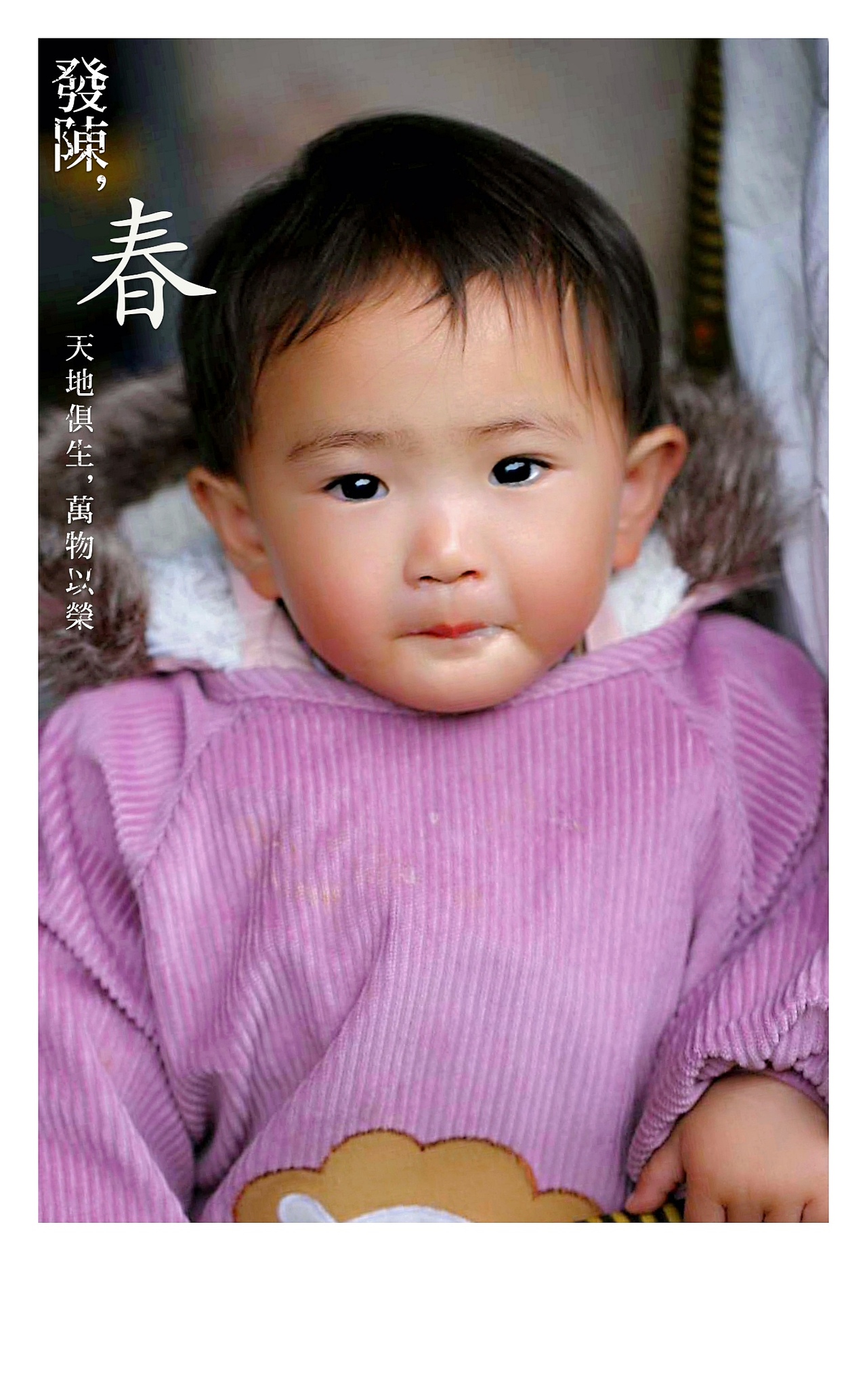 胡贝贝（图ZMjU5NTE0OTY0） - 人像摄影 - 站酷设计师慢慢而立原创素材 - 站酷ZCOOL