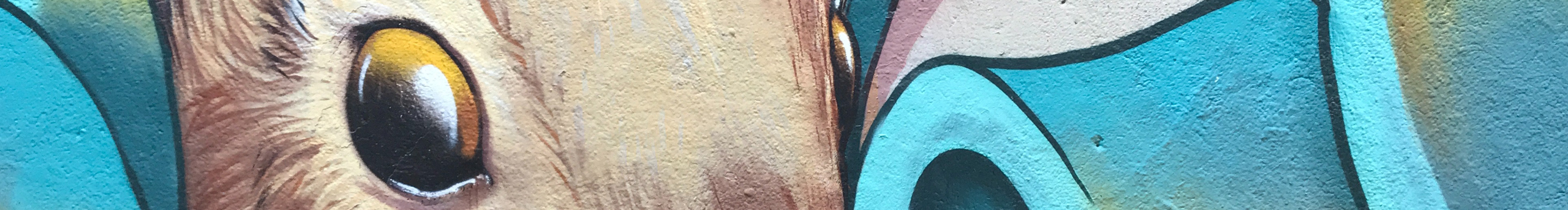 魚008的個(gè)人主頁（封面預(yù)覽） - 主頁封面設(shè)置 - 站酷設(shè)計(jì)師魚008原創(chuàng)素材 - 站酷ZCOOL