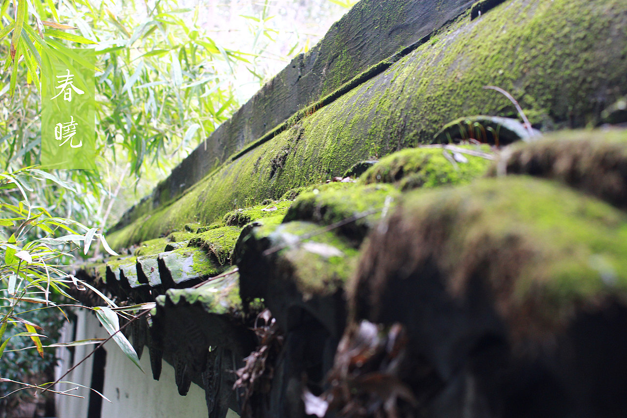 自制桌面秀（图ZMjg0MjI5NTY=） - 风光摄影 - 站酷设计师小峰峰1900原创素材 - 站酷ZCOOL