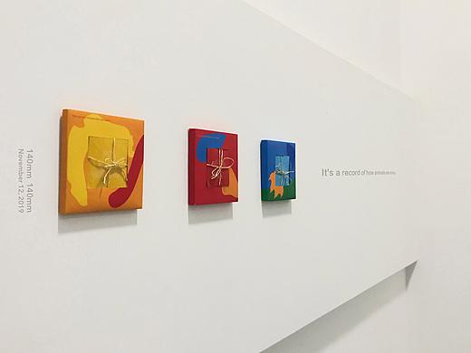 动物Animals包装设计项目