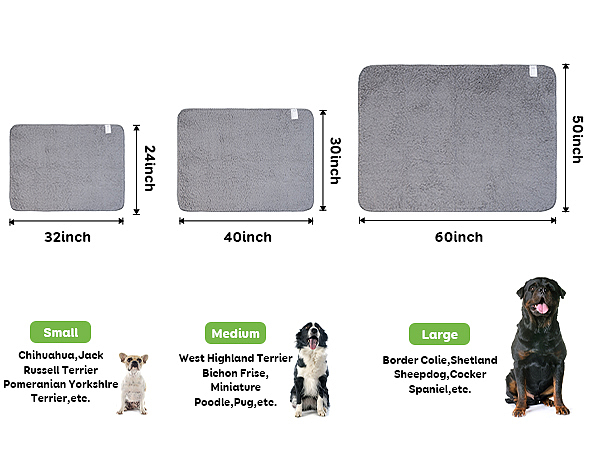 宠物泳衣拍摄产品广告毛毯摄影视频亚马逊制作主图拍照