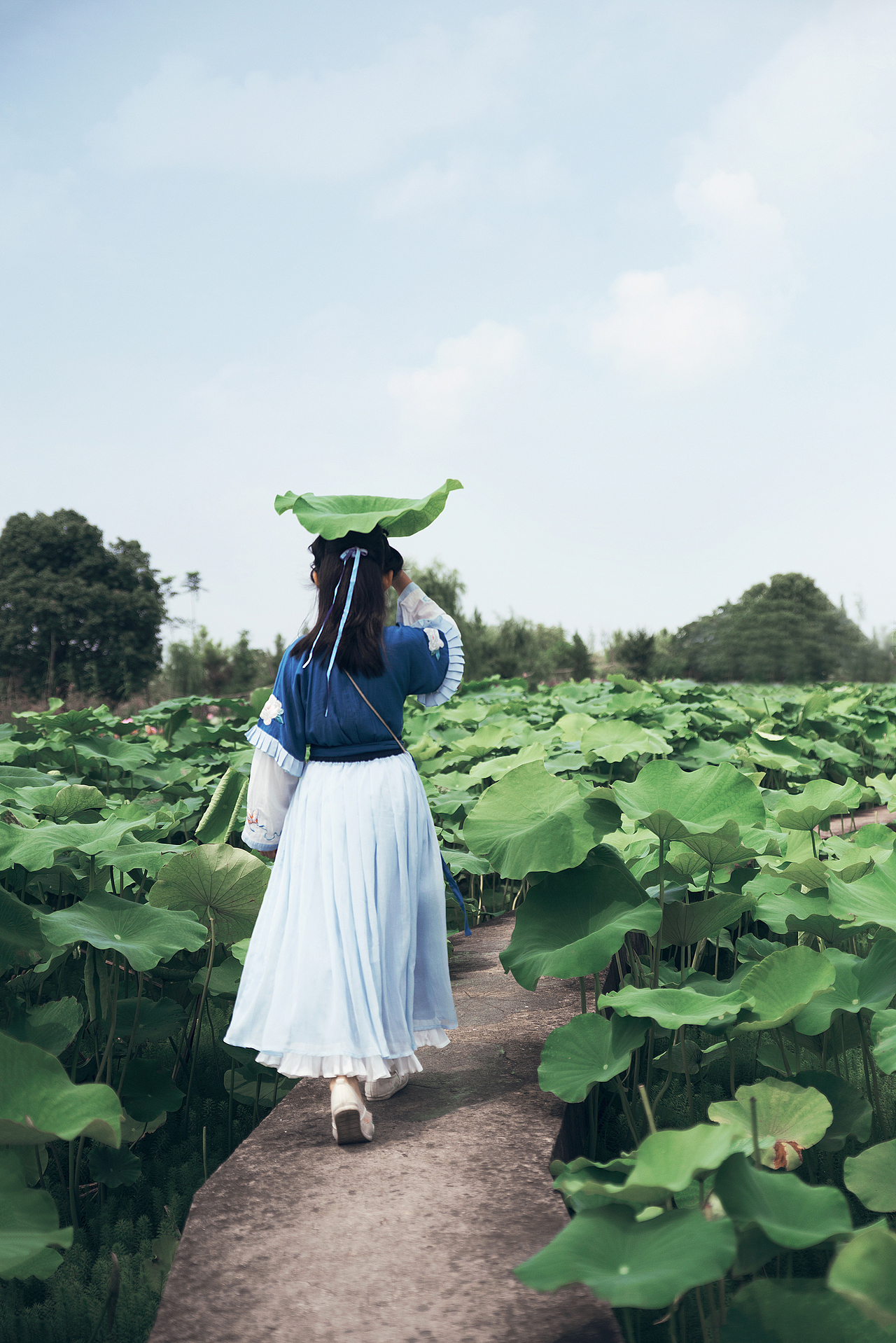 荷塘姑娘|摄影|人像摄影|诗诗果儿_原创作品-站酷(zcool)