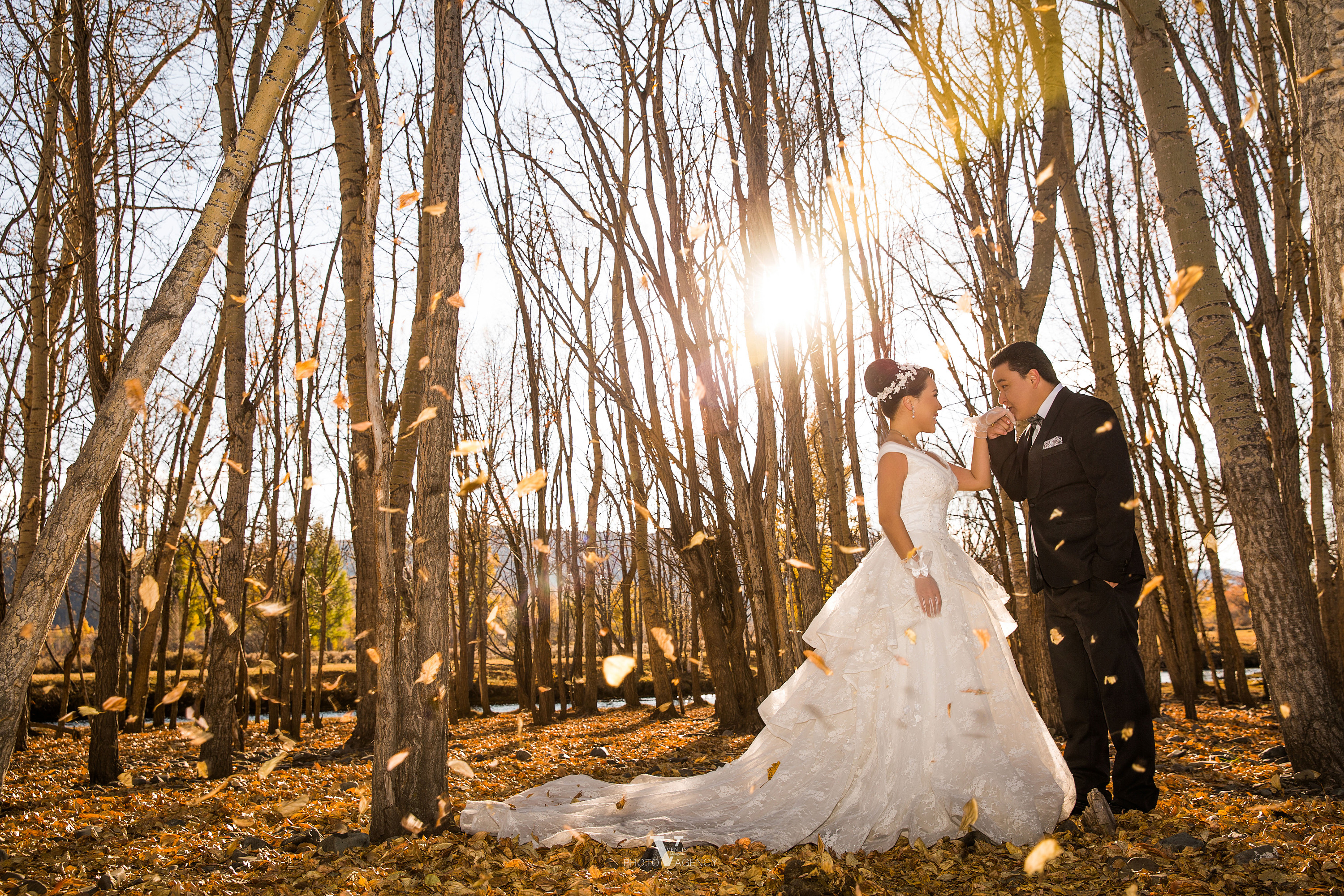 蒙古族风光 婚纱 结婚照