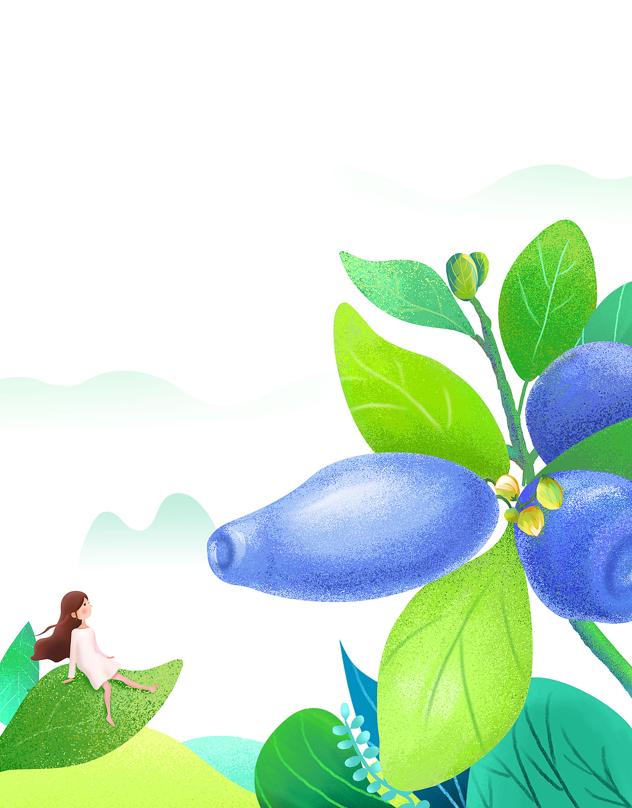 蓝靛果原花青素饮