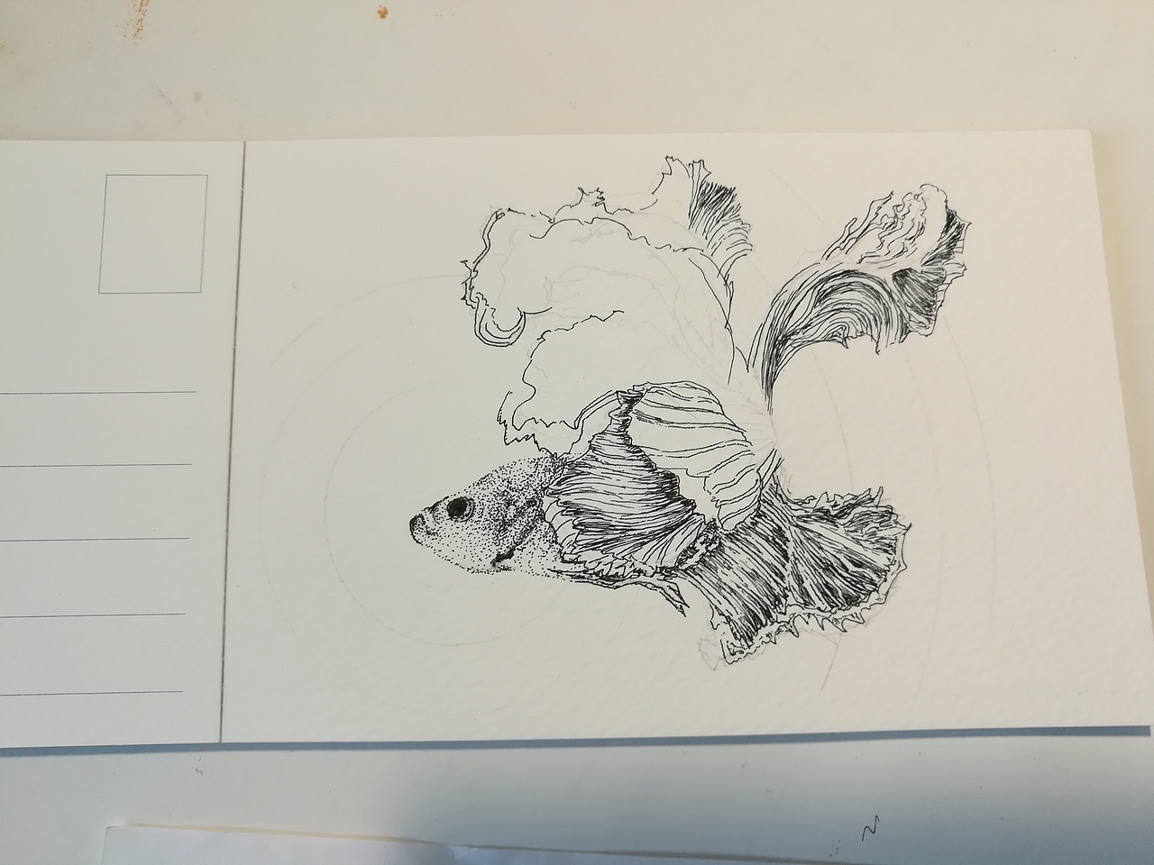 斗鱼曼陀罗（图ZOTA2NTk3MDg=） - 绘画 - 站酷设计师老树林原创素材 - 站酷ZCOOL