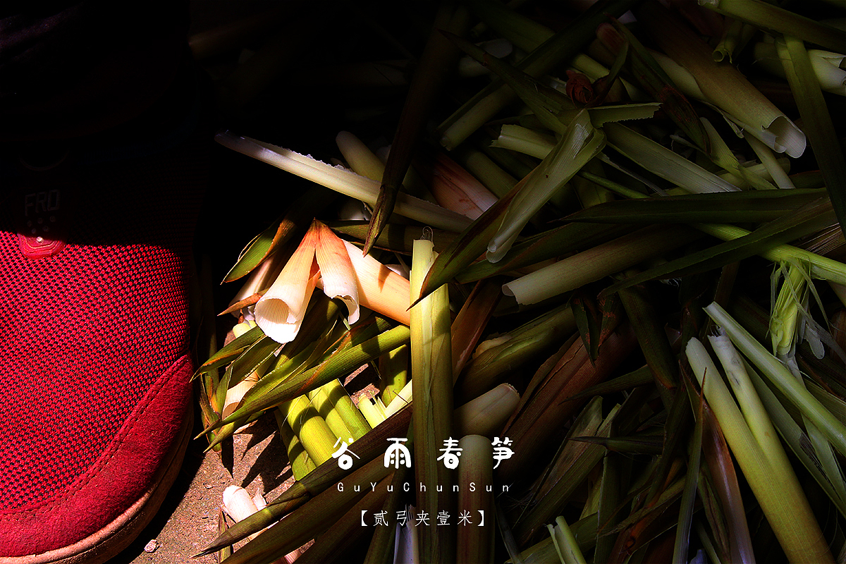 【二弓夹一米】ta那么美，多瞟一眼（图ZNzc0MjEwNjQ=） - 人文/纪实摄影 - 站酷设计师Roadarmor9原创素材 - 站酷ZCOOL