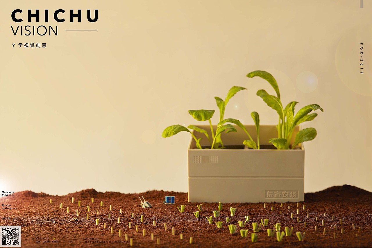 创意微景观拍摄