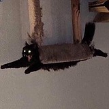 二三ie的头像